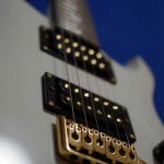 エレキギター PRS SE Dave Navarro Signature Modelのレビュー